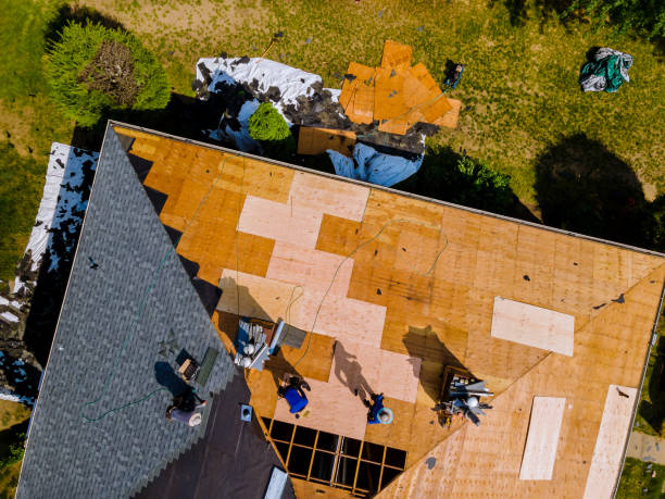 Roof Gutter Cleaning in Decatur, IL