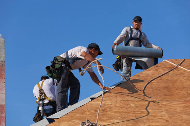 Best Roof Gutter Cleaning  in Decatur, IL