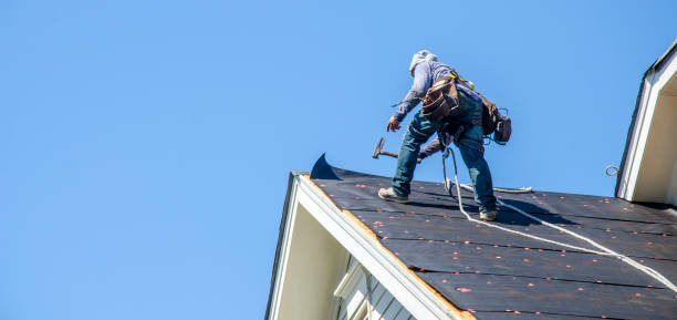 Best Metal Roofing Contractor  in Decatur, IL